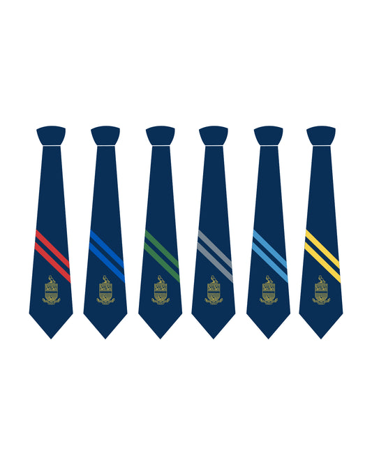 HOUSE TIE JUNIOR-RAB