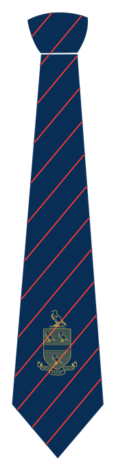 HOUSE TIE SENIOR-RAB