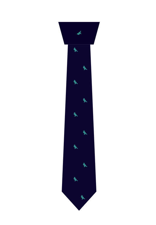 SCHOOL TIE NAVY & GREEN-RDXB